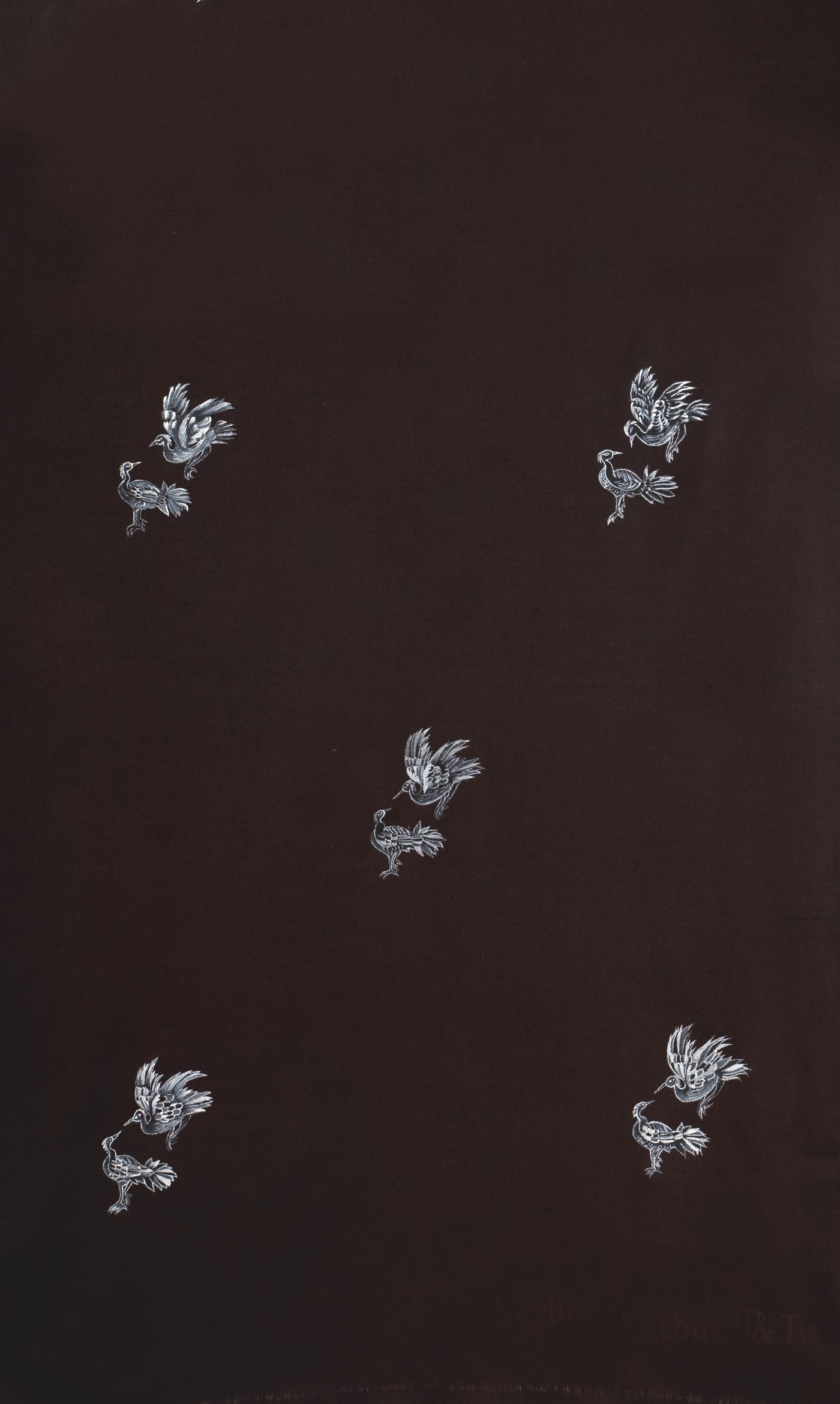Brown Pure Pashmina Hand-Painted Scarf - Songs of Freedom