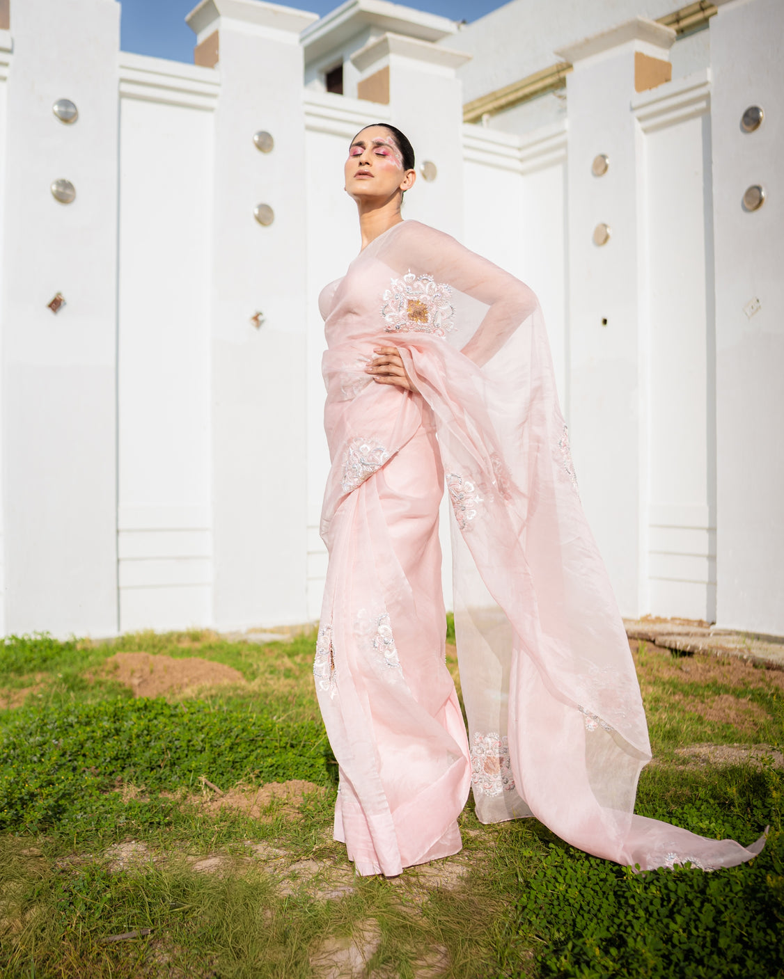 Restored Sozni Pure Organza Saree