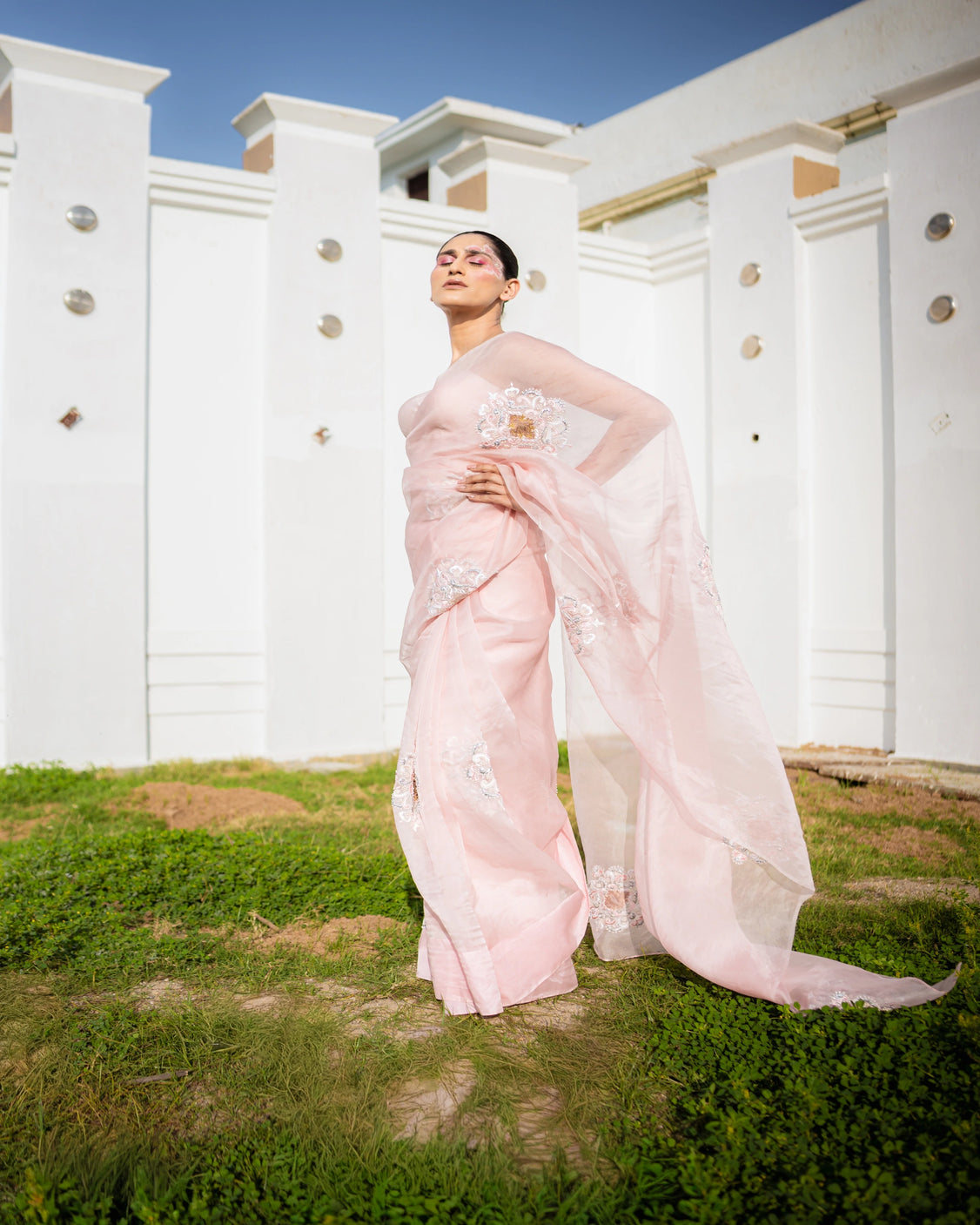Restored Sozni Pure Organza Saree