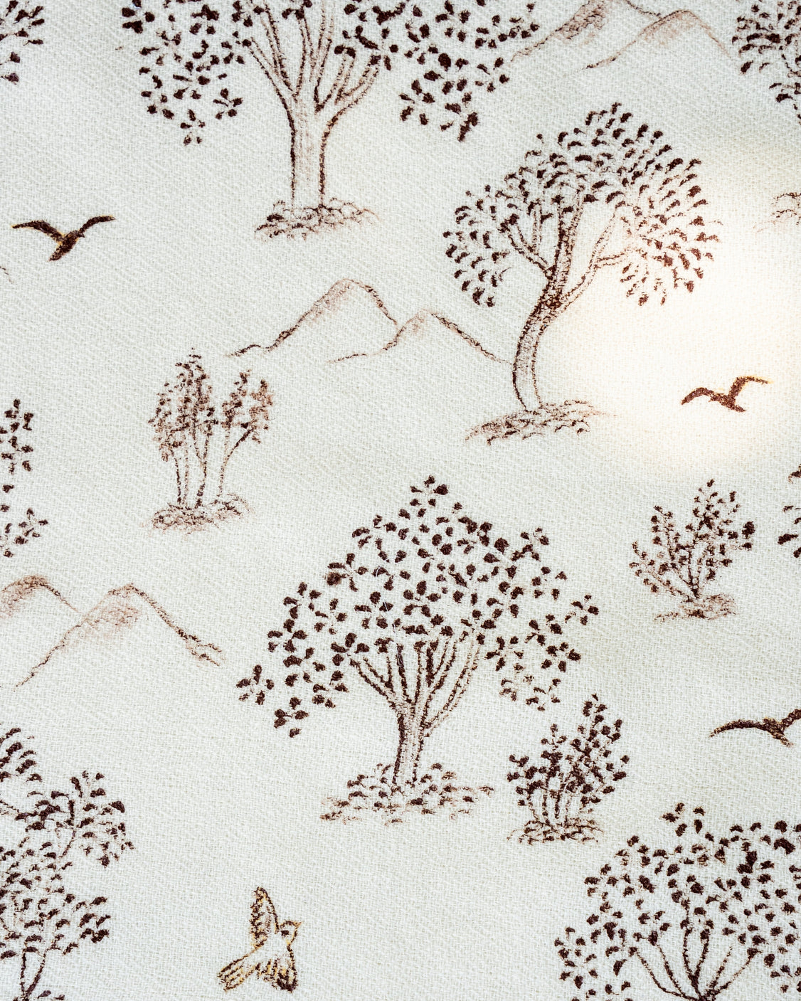 Ivory Hand-Painted Chanderi Silk Scarf