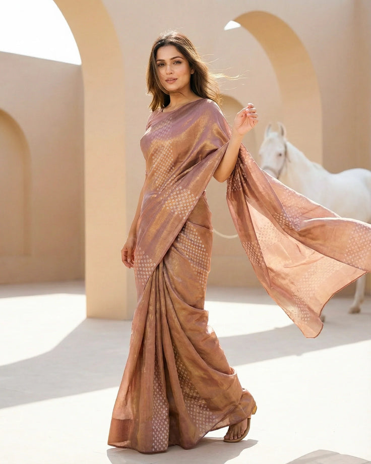 Nutmeg Real Silver Saree in Tissue Silk
