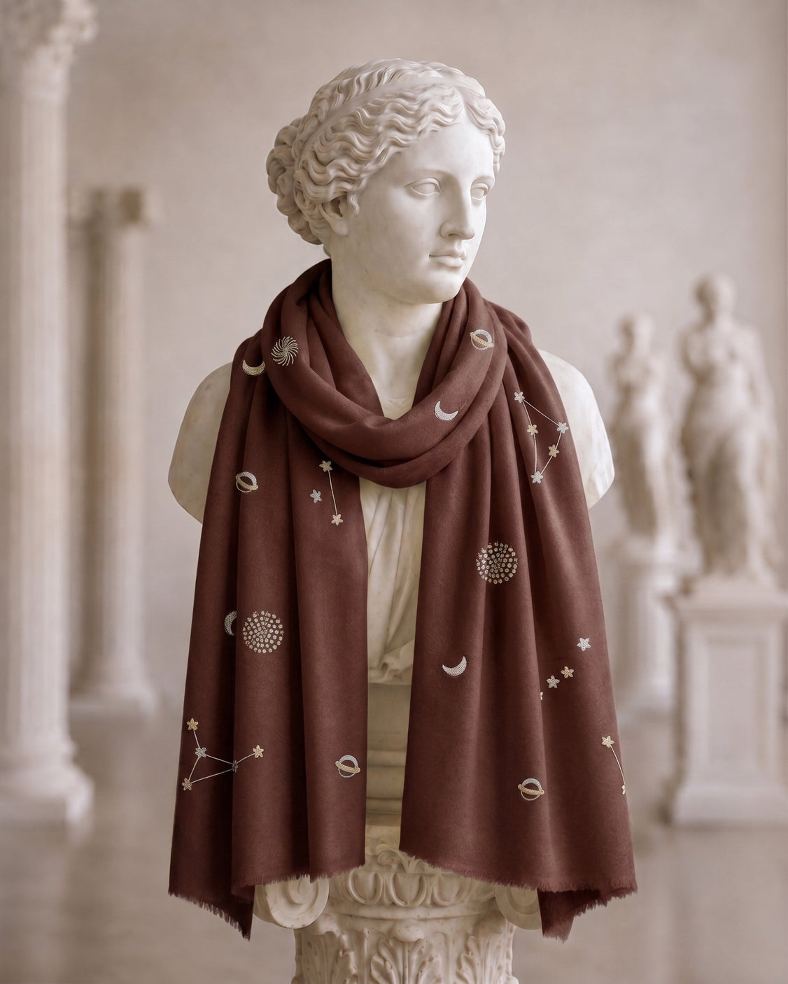 Brown Galaxy, Paani Tila Embroidery Pure Pashmina Scarf