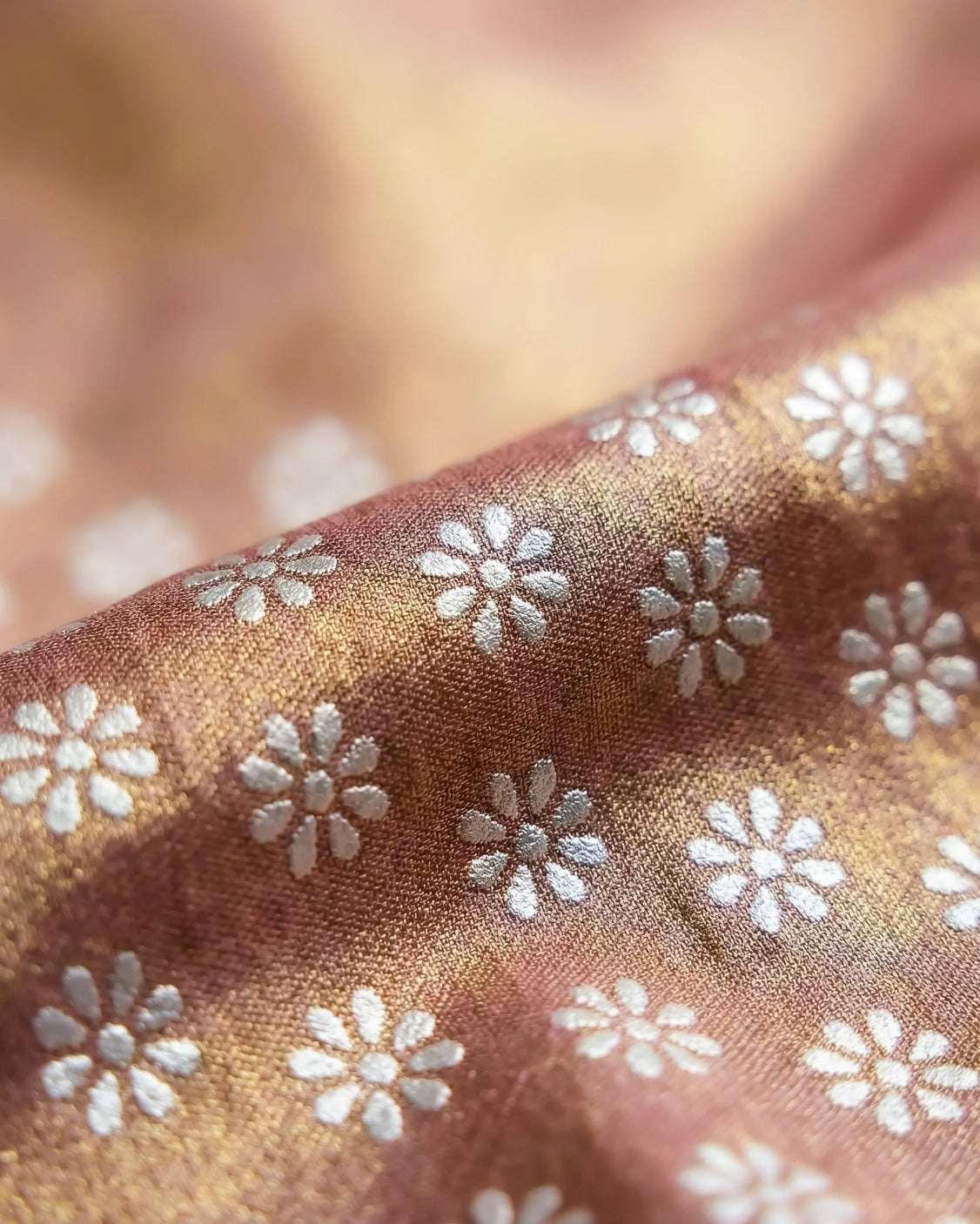 Nutmeg Real Silver Saree in Tissue Silk